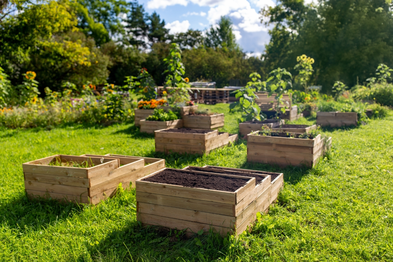 Polish And German Gardening Practices In Wisconsin Backyards