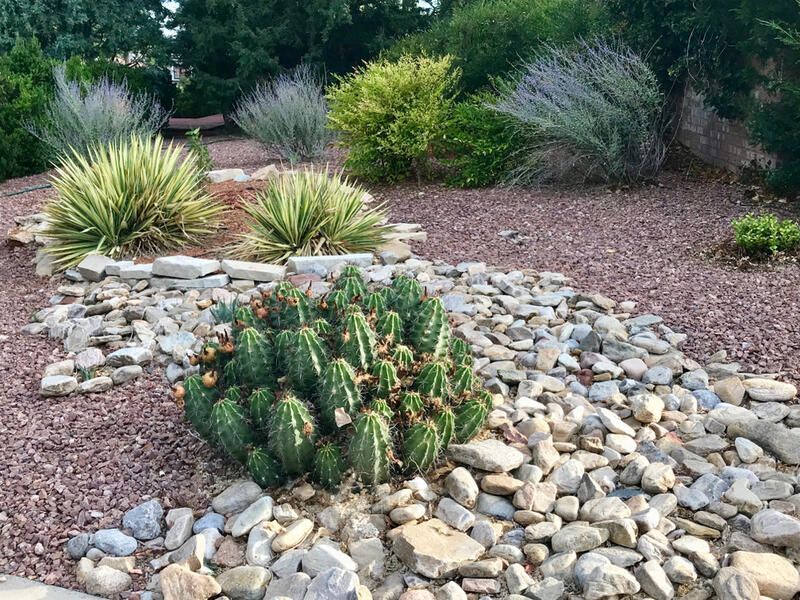Rock Gardens And Gravel Landscaping