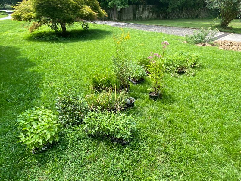 Rain Garden Depressions