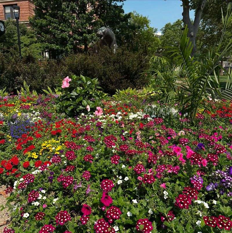 Piazza Fiori