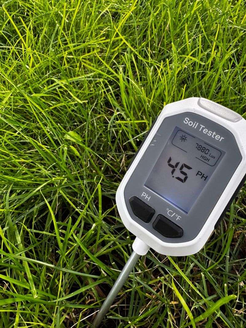 Ignoring Soil pH