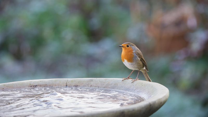 Slippery Surfaces Cause Dangerous Falls