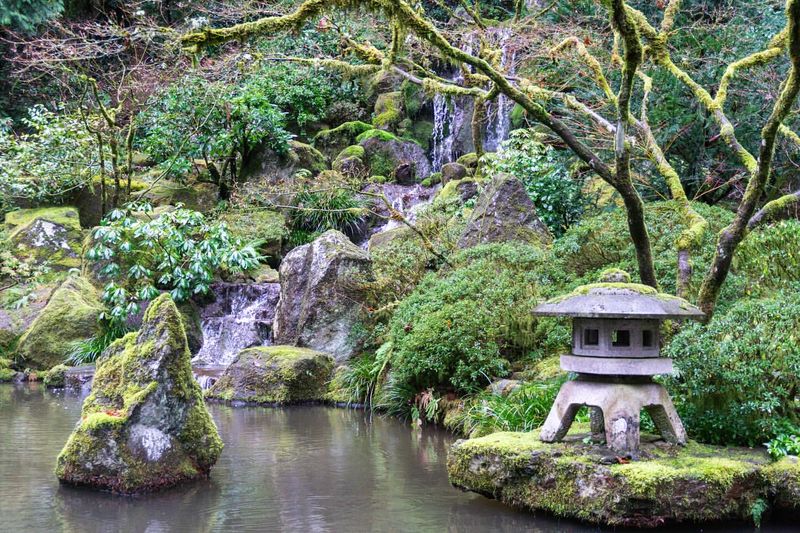 The Enchanting Tea Garden