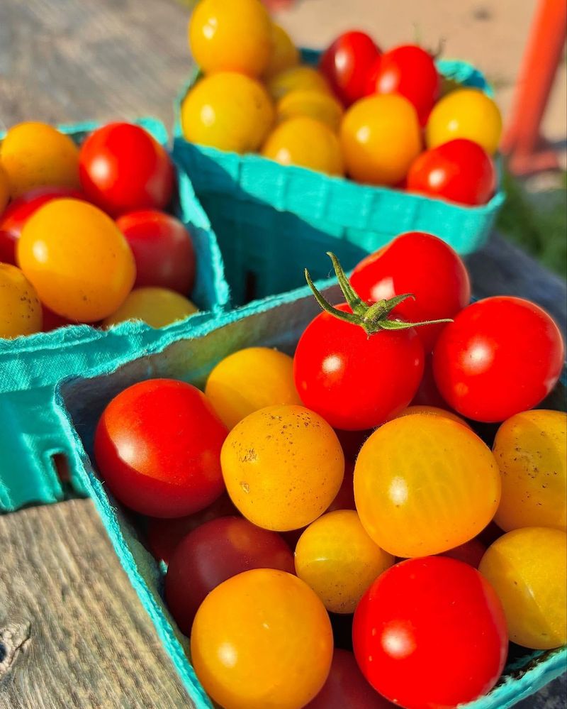 Early Variety Selection