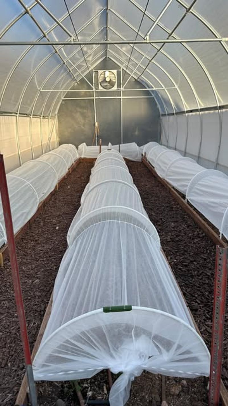 Season-Extending Greenhouse Tunnels
