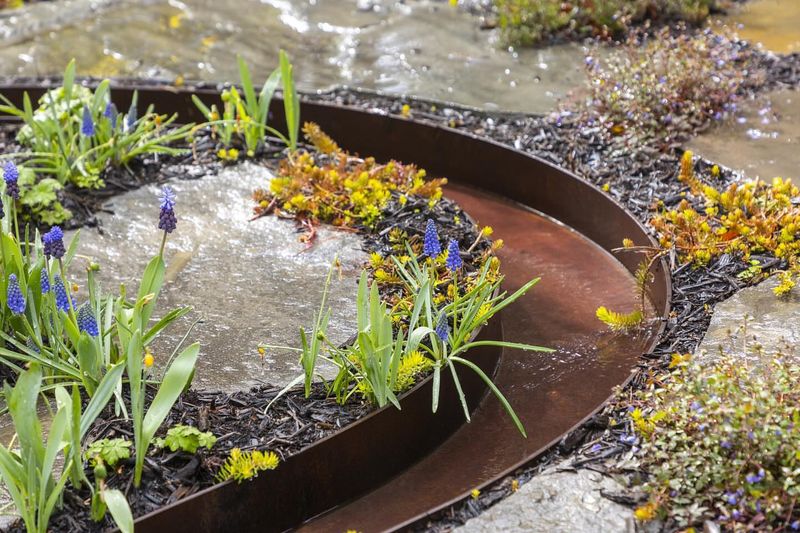 Rain Garden Solutions