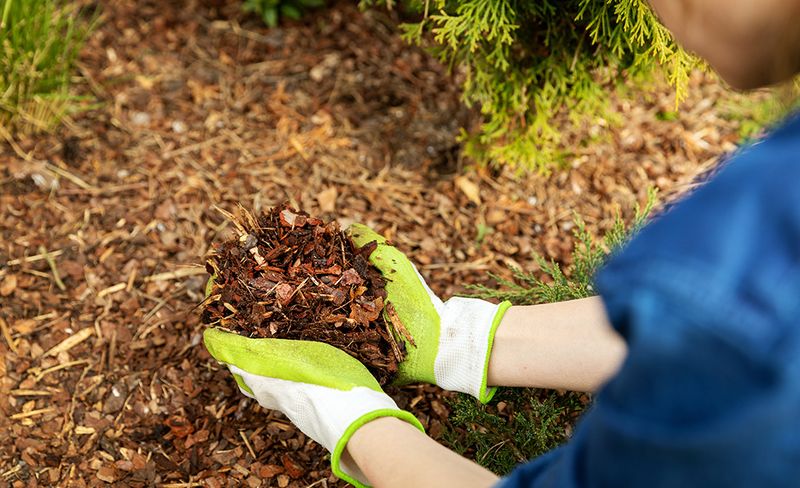 Mulch Against Pennsylvania's Weather Extremes
