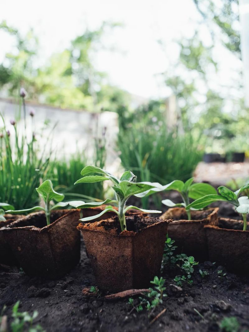 Time Your Planting Right