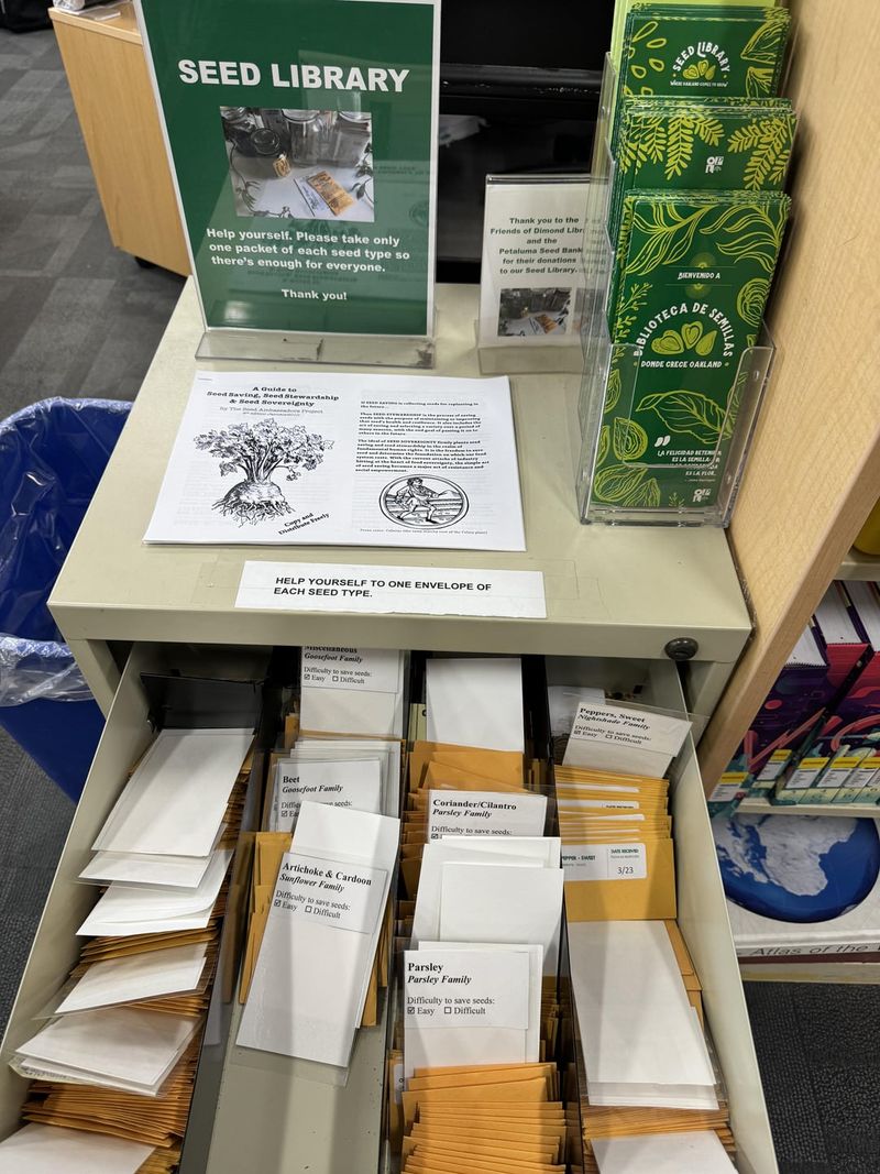 Seed Saving: Breaking The Buy-Every-Year Cycle