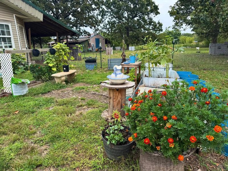 Extend Seasons With Succession Planting