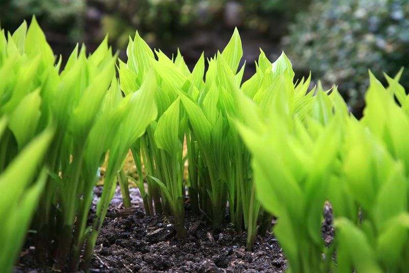 Protect From Winter's Dry Winds