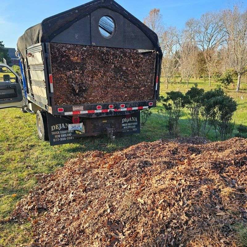 Creates Free Mulch
