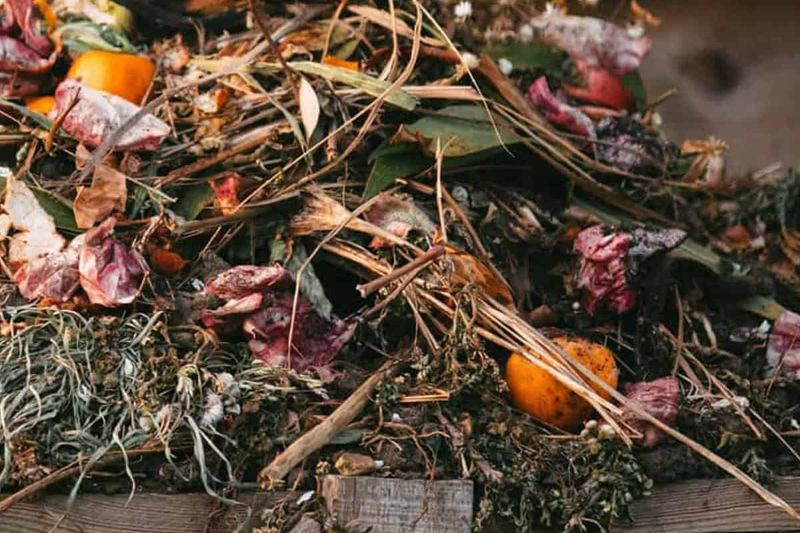 Unsecured Compost Piles