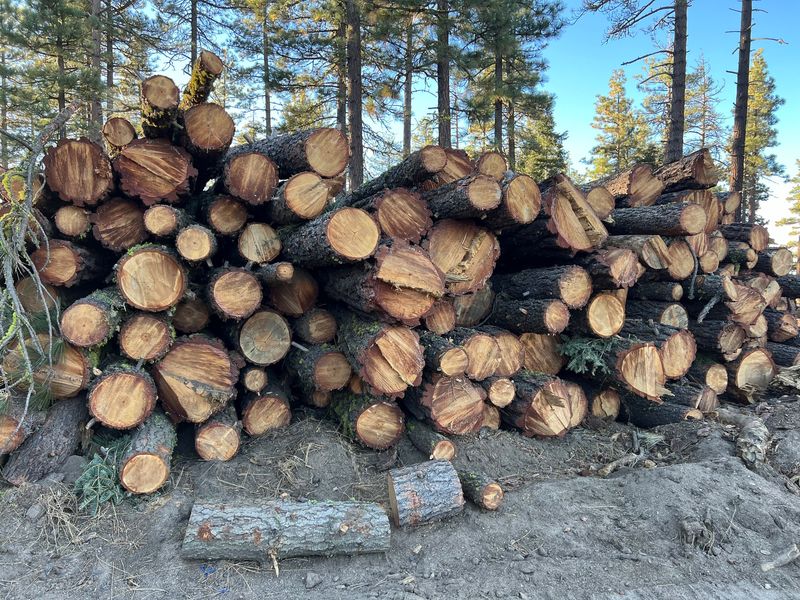 Logging Operation Indicators