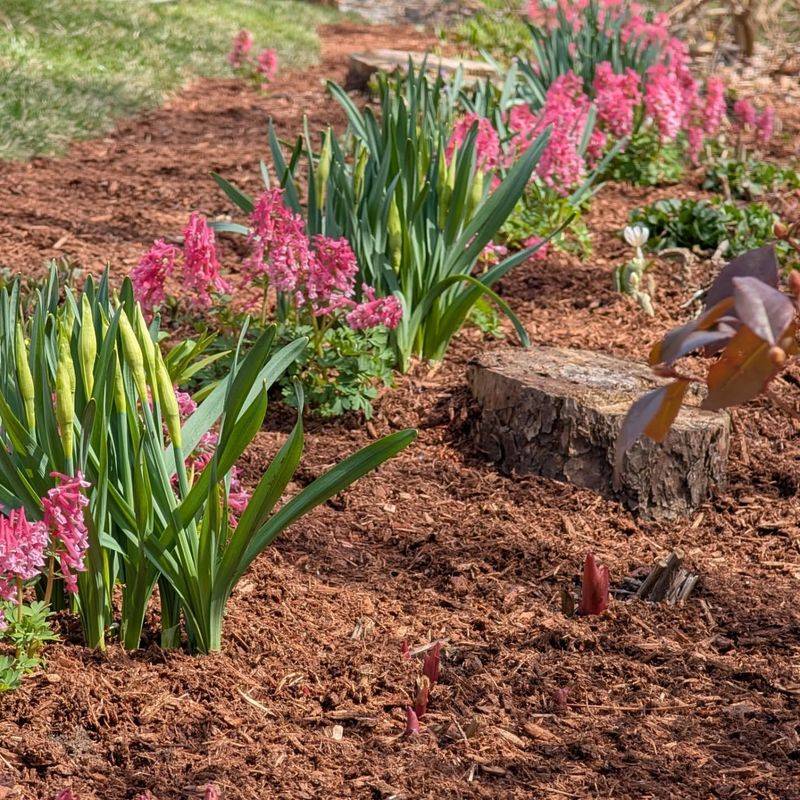 Apply Protective Mulch