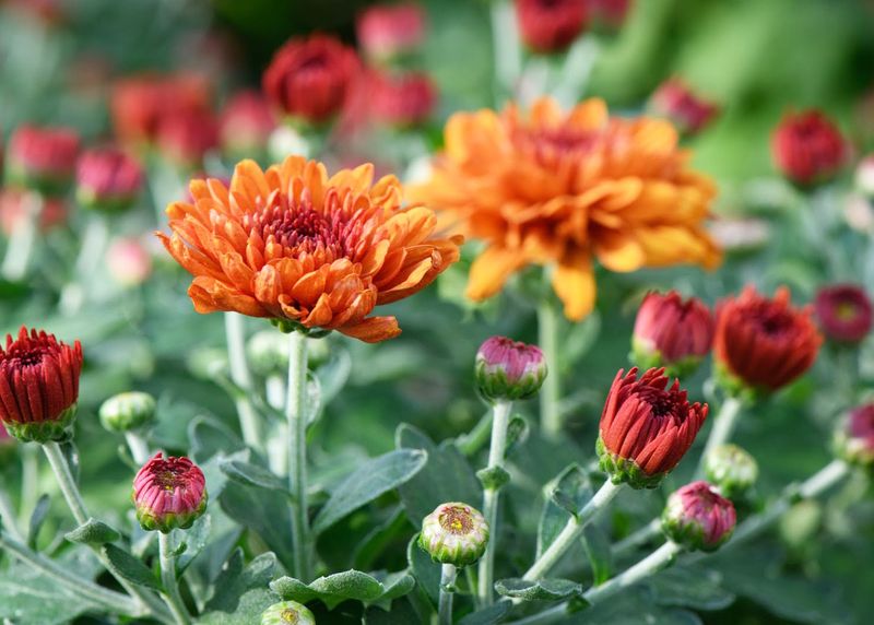 Perfect Your Pruning Approach