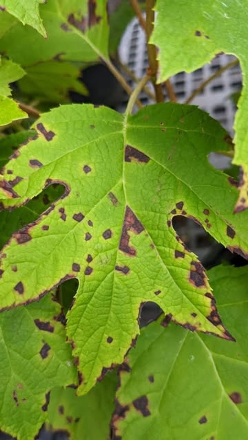 Control Pests Before Winter