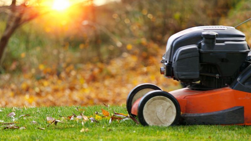 Mowing Works Best For Light To Moderate Leaf Cover