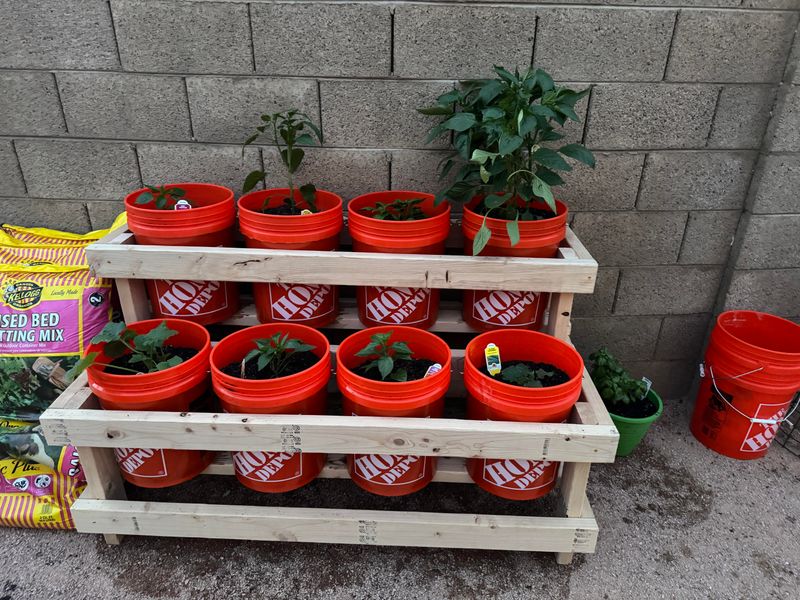 Empty and Store Containers