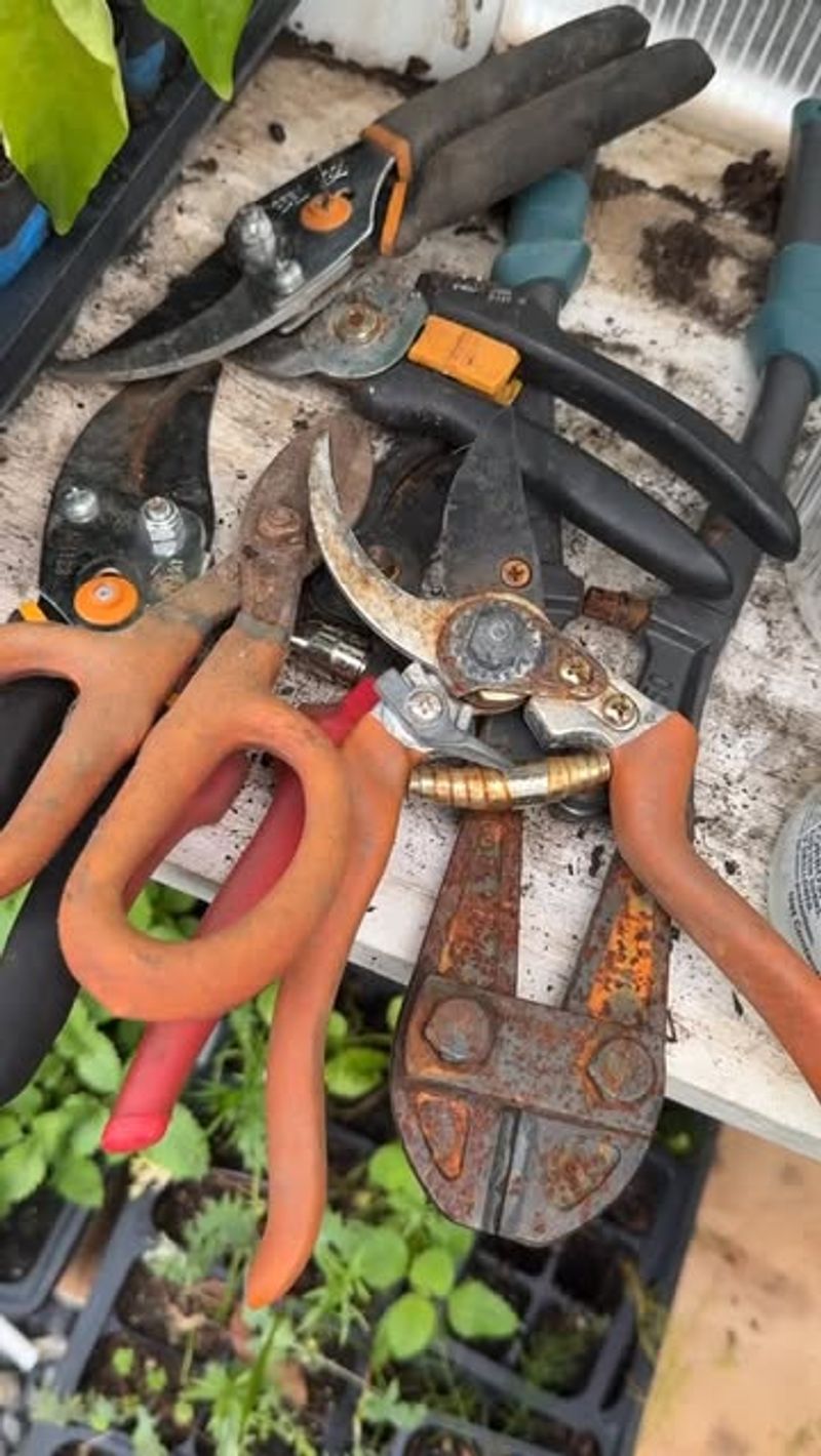 Clean and Store Garden Tools