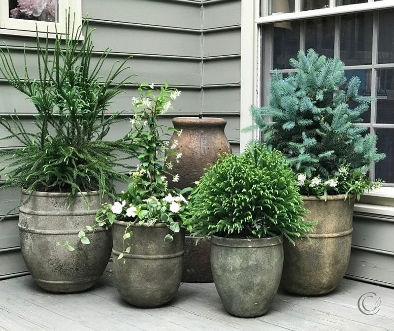 Empty And Store Garden Containers