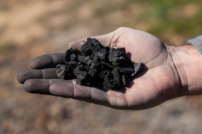 Biochar Amendments For Long-Term Soil Health