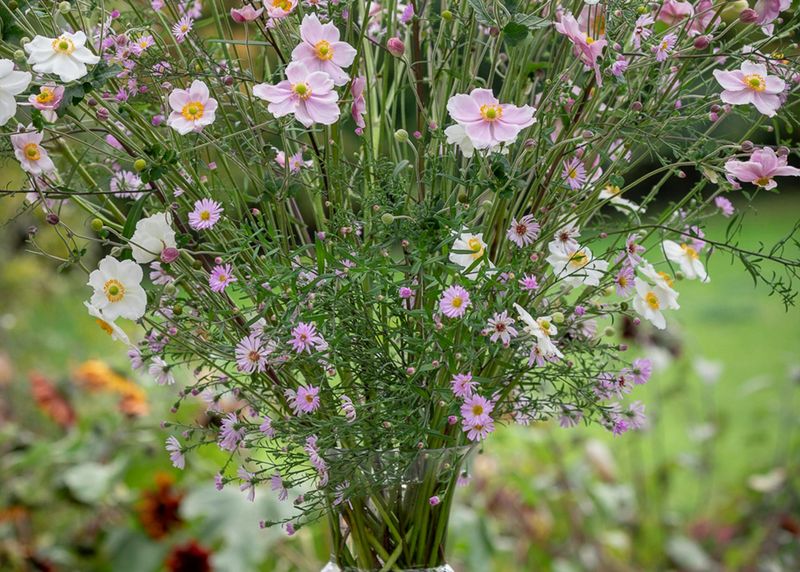 Healthier Plants Through Better Air Circulation