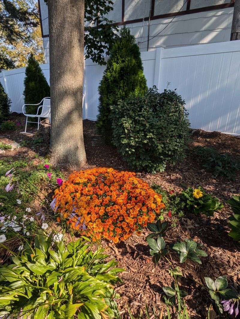 Mulch Appropriately