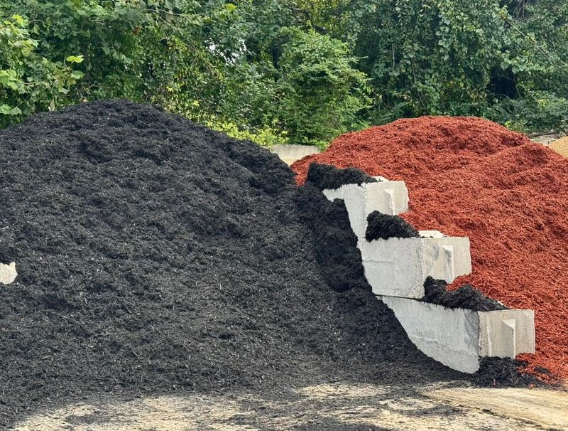 Refresh Your Mulch