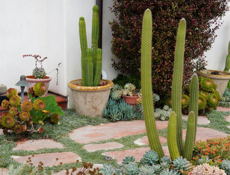 Planning Your Garden Layout For Sun Exposure