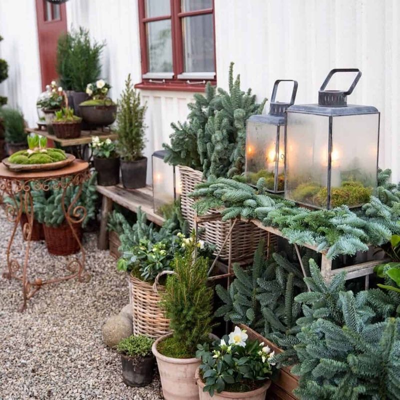 Evergreen Anchors With Seasonal Accents