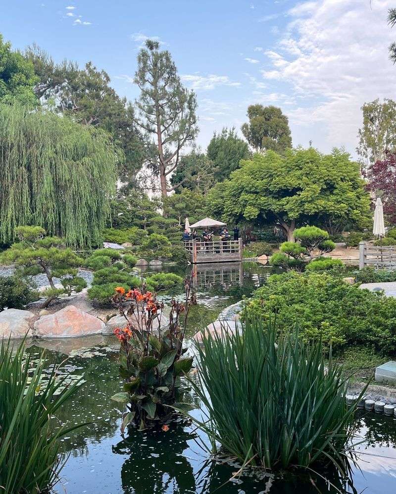 Earl Burns Miller Japanese Garden