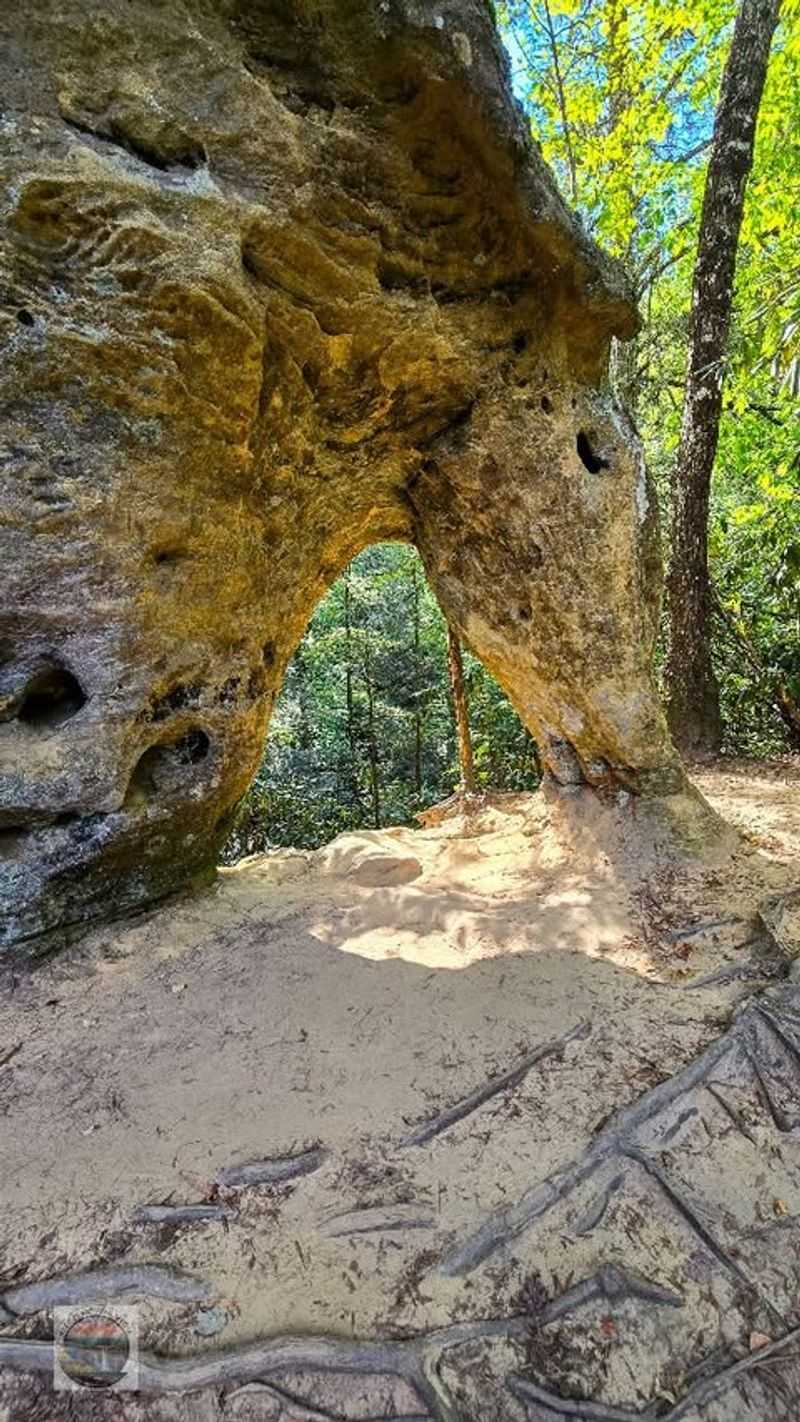 John James Audubon State Park's Hidden Trails