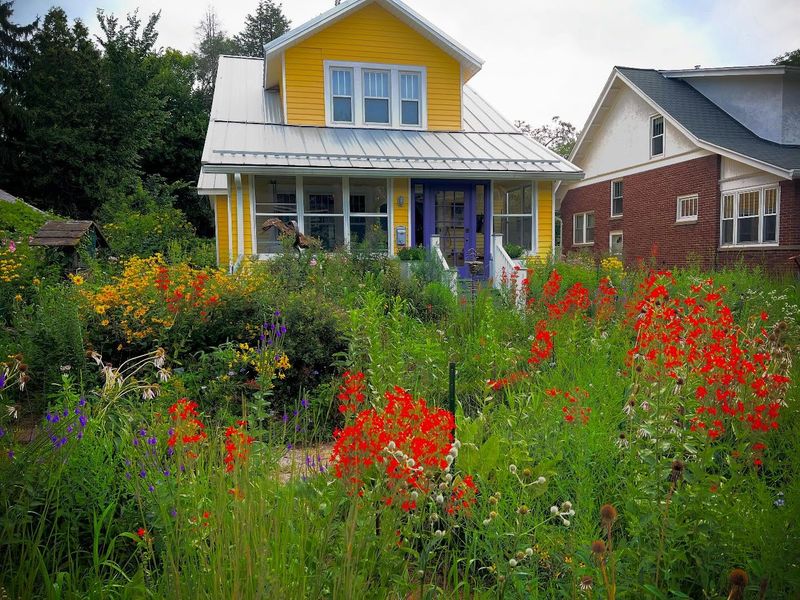 Native Plant Gardens