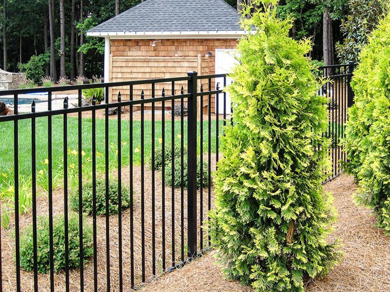 Decorative Fencing Choices