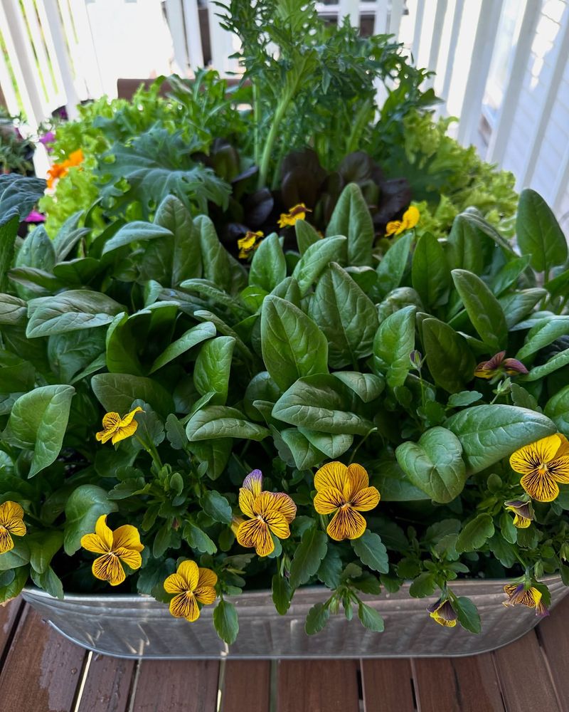 Companion Planting