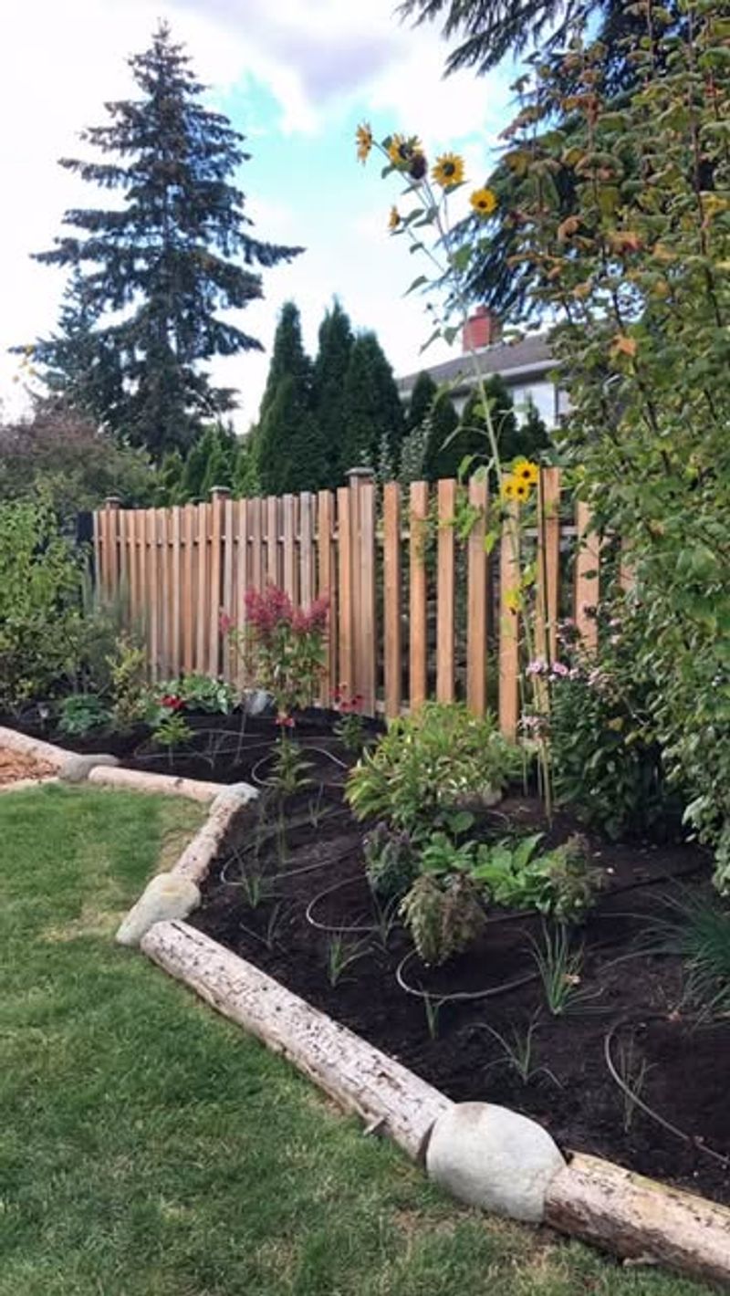 Edible Landscape Borders