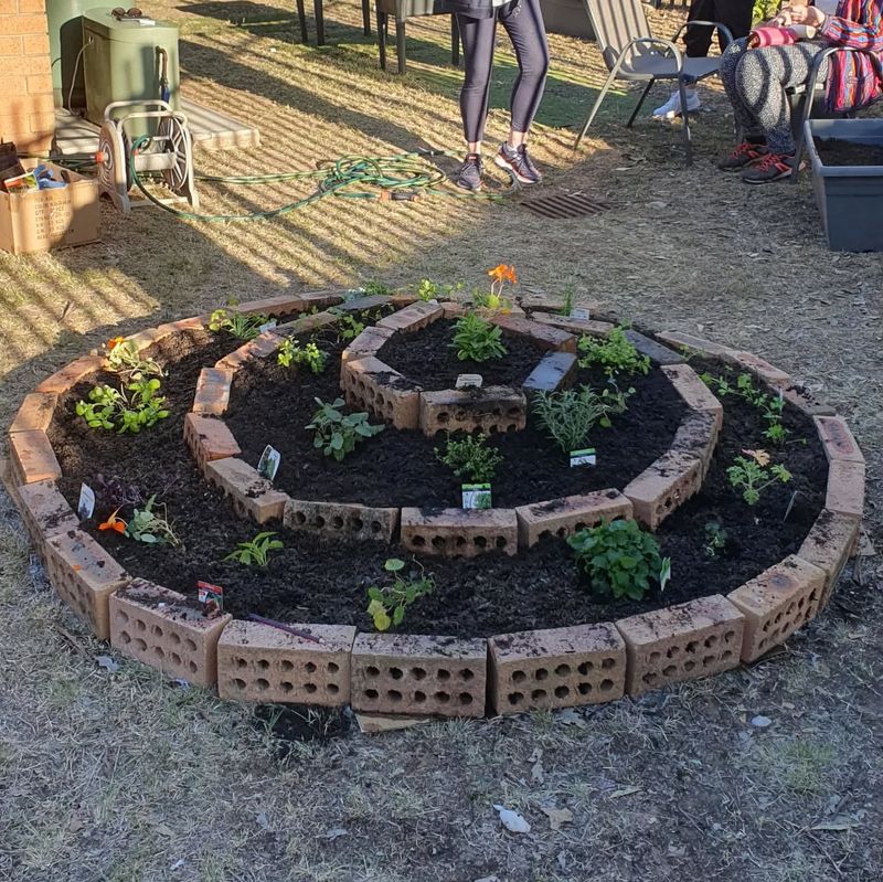 Herb Spiral With Trailing Nasturtiums