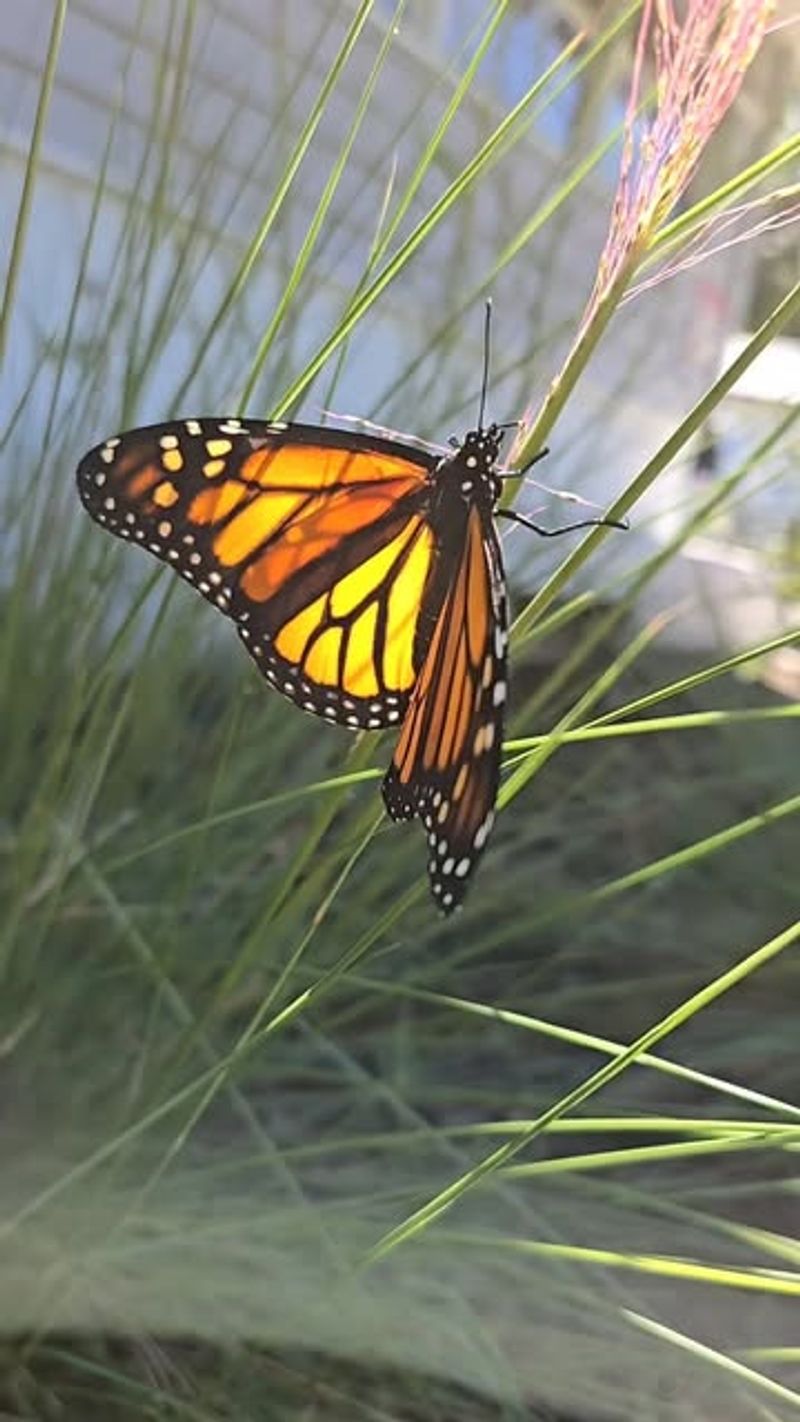 Create Community Habitats