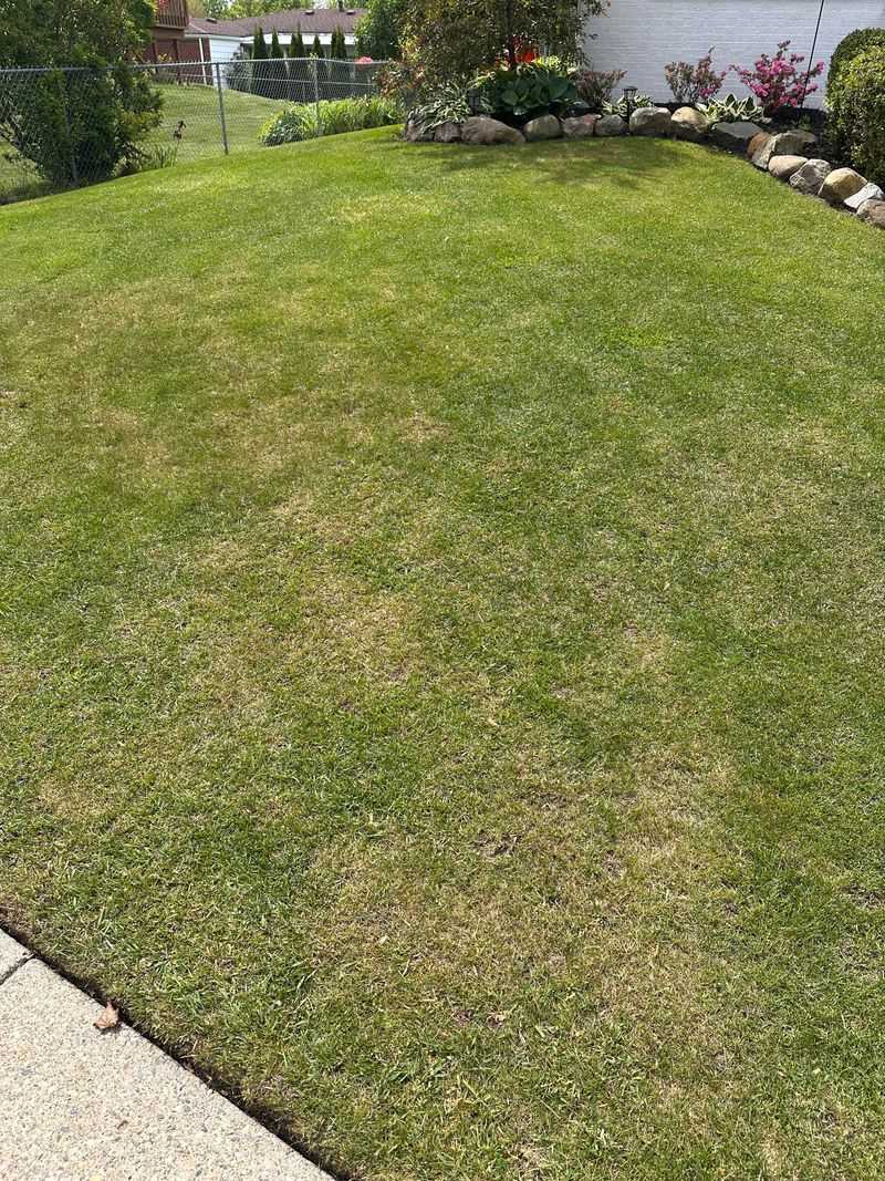 Morning Mowing Matters
