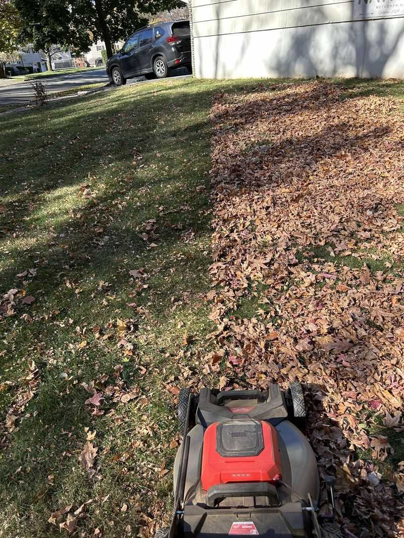 Mow When Leaves Are Dry