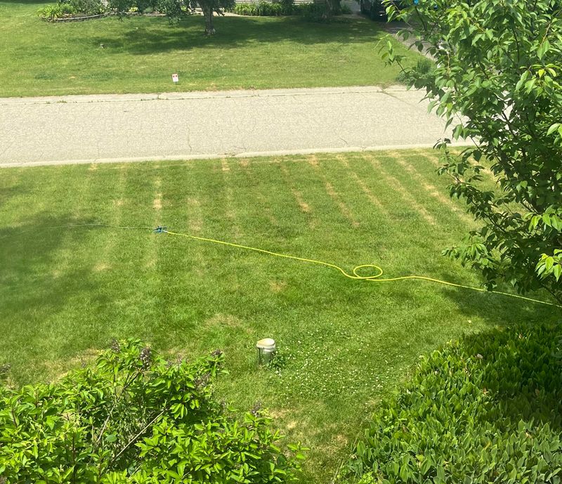Mow When Dry