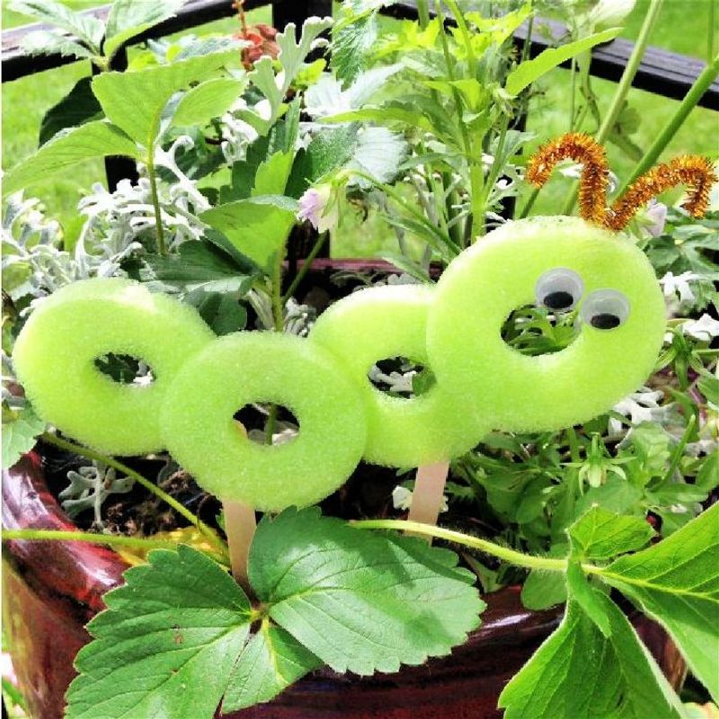 Seedling Markers And Protectors