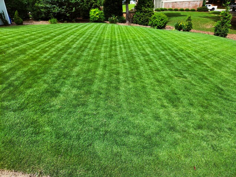 Liquid Aeration Solutions