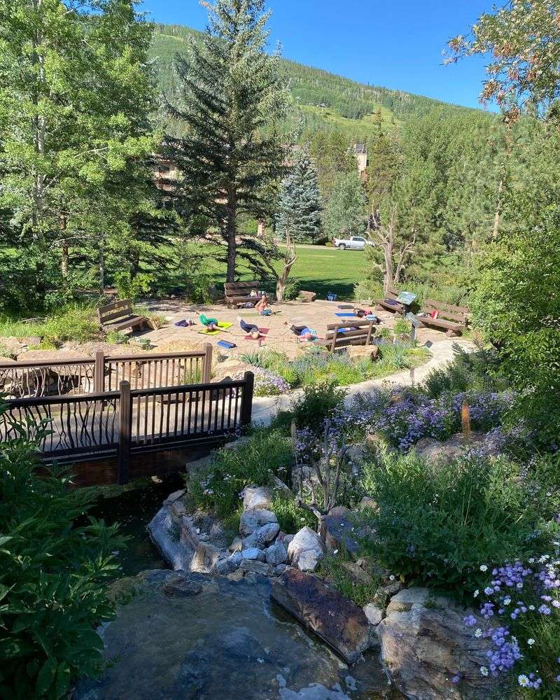 Native Alpine Rock Gardens