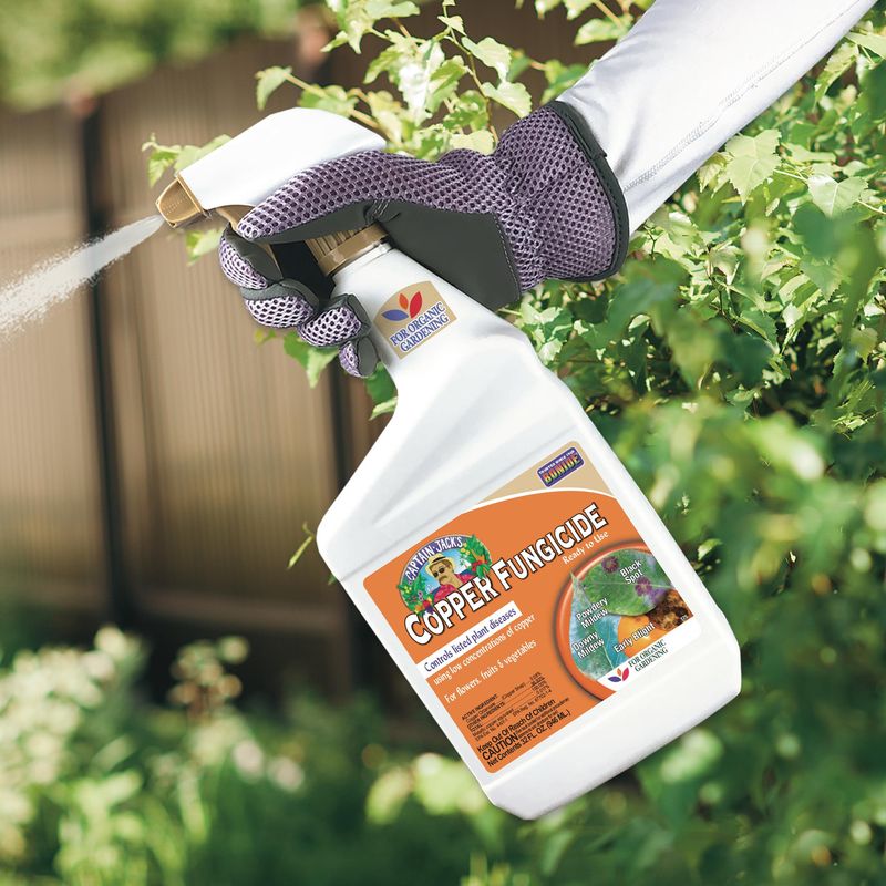 Copper Fungicide As First Defense