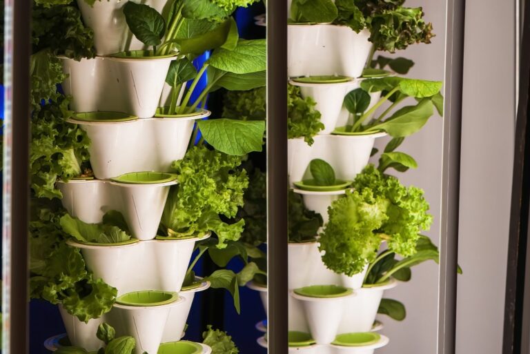 vertical hydroponic gardens