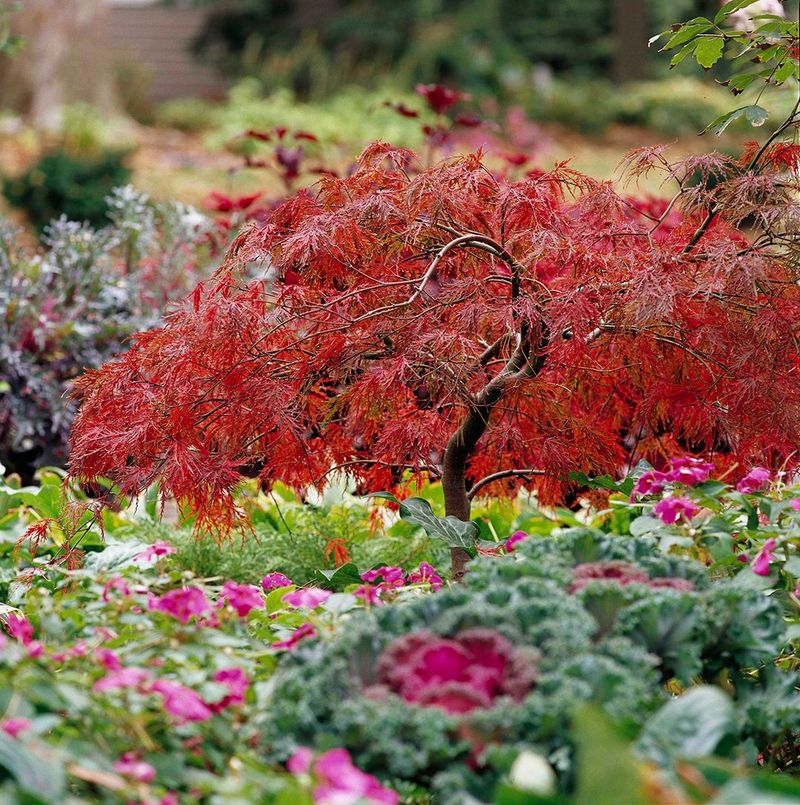 Climate Compatibility Creates Natural Harmony