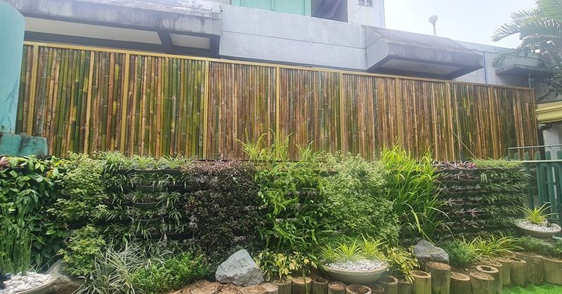 Fog-Catching Bamboo Screens