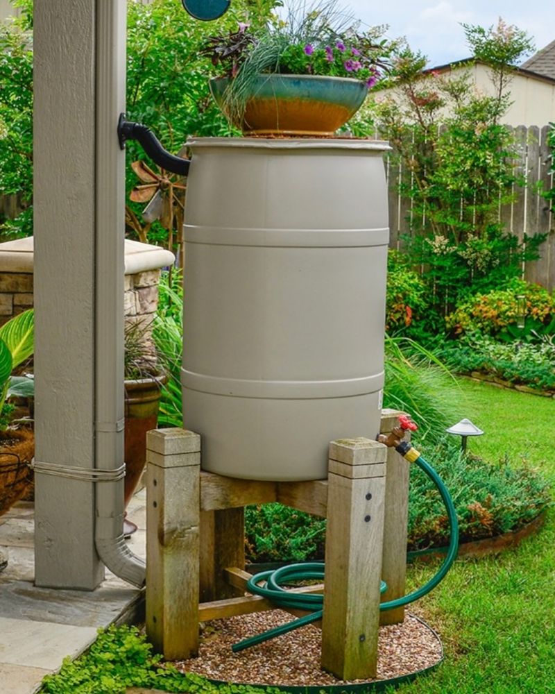 Rainwater Harvesting Barrels